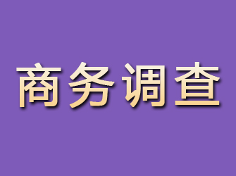 温县商务调查